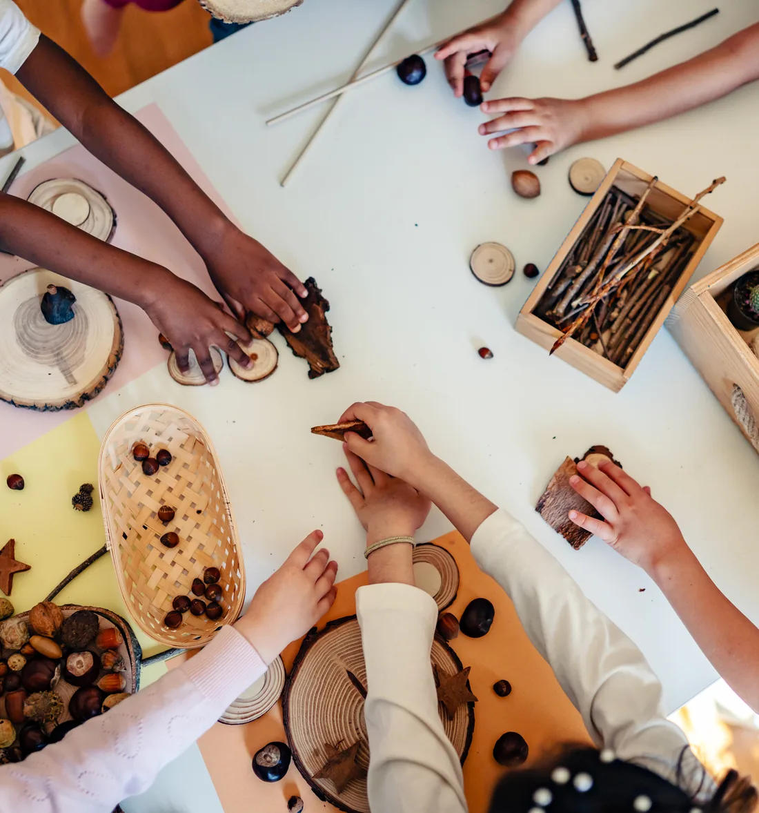 Children's hands sorting natural loose parts on a table