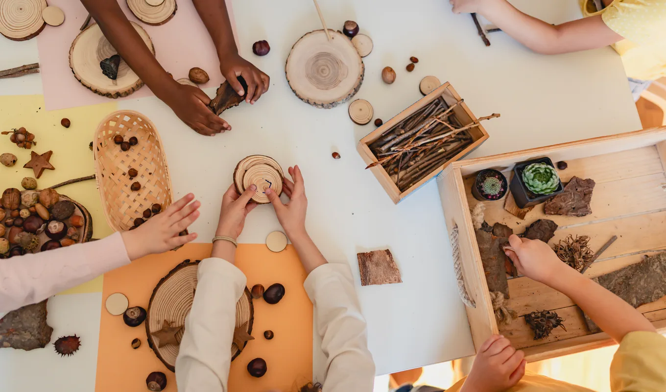 Seen from above, children’s hands sorting wood slices, sticks, chestnuts and bark on a classroom table